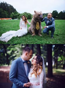 Медведь на свадьбе